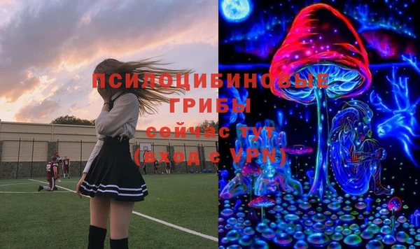бошки Вяземский