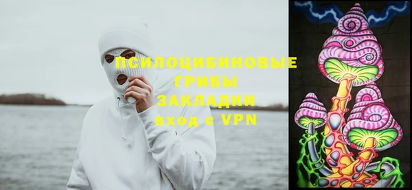 бошки Вяземский